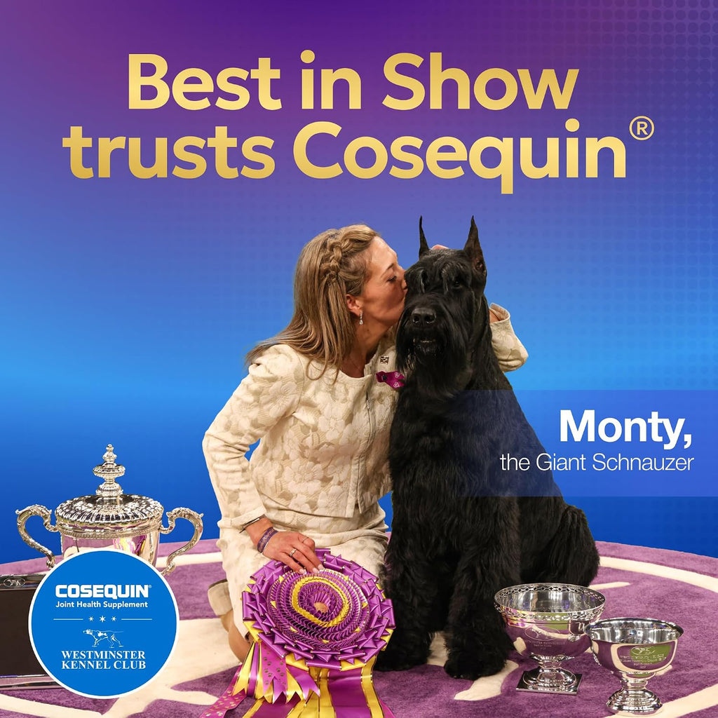 Nutramax Cosequin for Small Dogs, Soft Chews, 45 Count | Glucosamine, Chondroitin for Dogs with MSM, Omega-3s, Supports Healthy Skin and Coat, Small Dog Soft Chews, All Ages