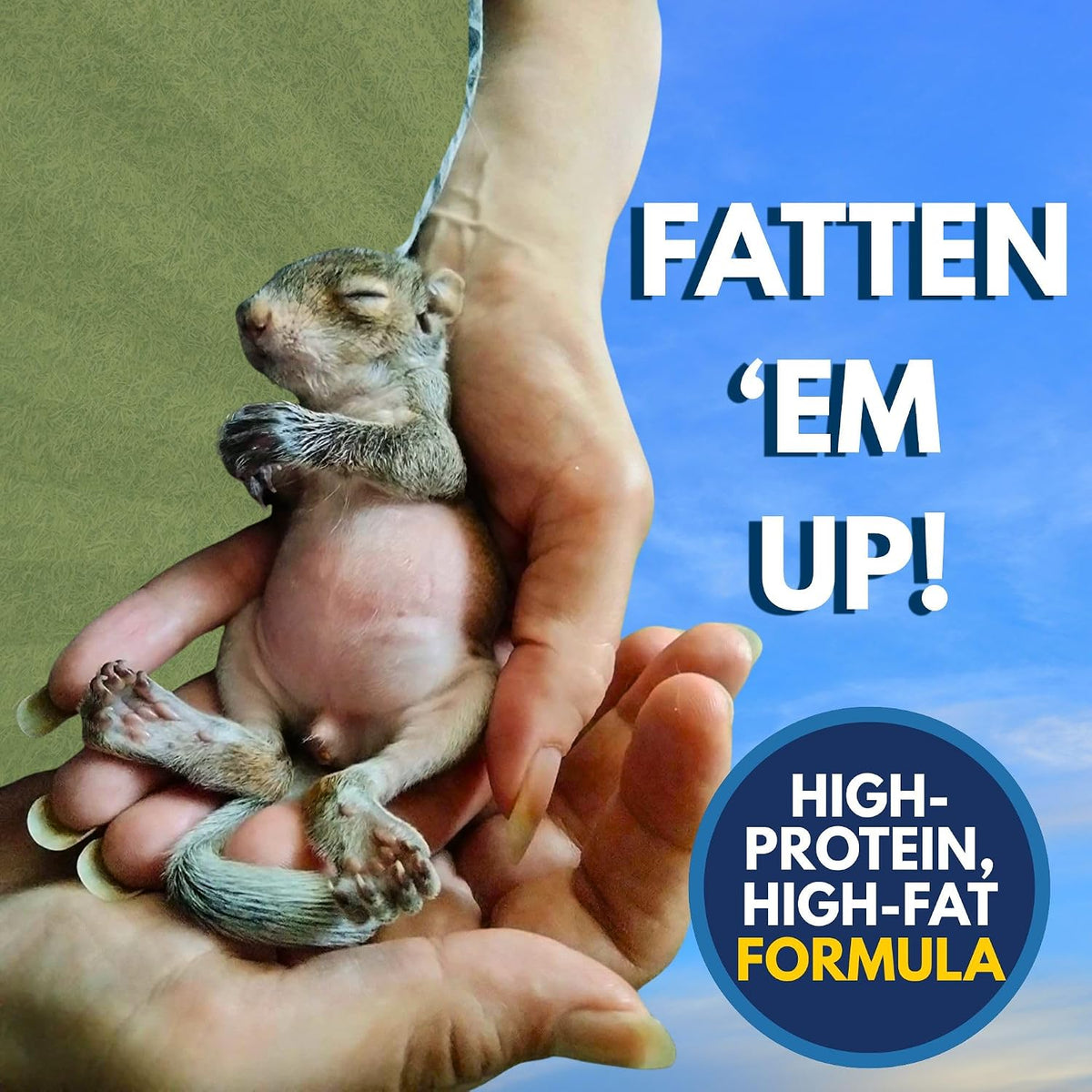Milk Replacer - Healthy Powdered Formula Ideal for Baby Squirrels, Rabbits, Opossums, Raccoons | 100% Instantized for Mixing Digestible Proteins | 8.8oz (Specialty Milk Replacer 8.8 oz.)