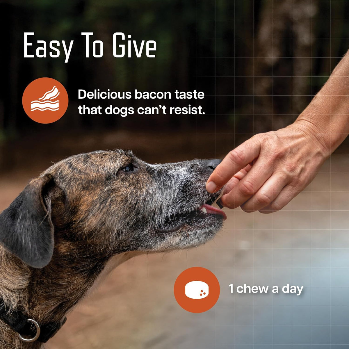 URSOLYX Soft Chews for Dogs, Large Breed, Muscle Support, 60 Count | Ursolic acid supplement to rebuild muscle strength & mobility in senior, active or recovering dogs, 2 Month Supply