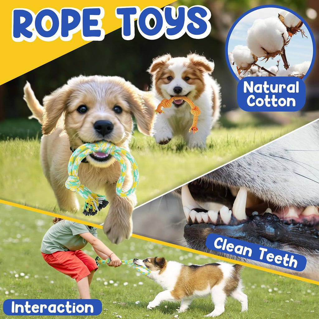 Puppy Toys for Teething, 9 Pack Cute Dog Chew Toys for Small Dogs | Tough Plush, Treat Ball & Ropes, Squeaky Toys with Crinkle, Keep Dogs Busy for Boredom, Tug of War, Suitable for Small Breed
