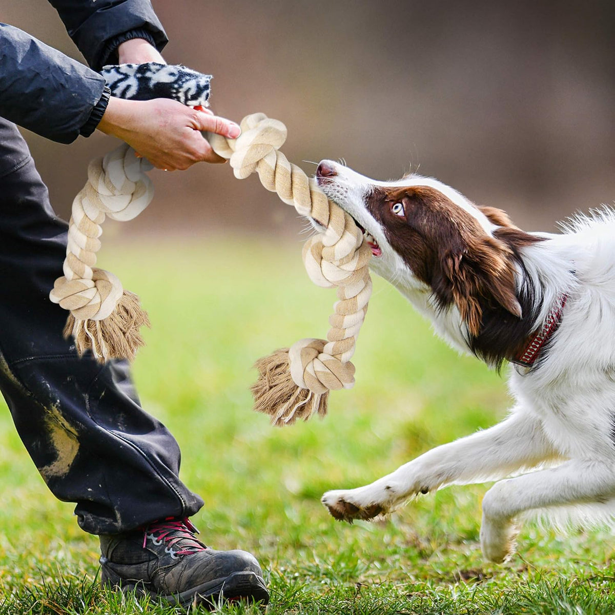 Fida Dog Rope Toys for Aggressive Chewers, Chew Toys for Large Medium Dogs | Natural Cotton, Heavy Duty Pull Rope for Tug of War and Interactive Play, 3 Feet 5 Knots Indestructible, Teeth Cleaning