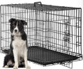 FDW | 30" Foldable Metal Dog Crate | Black | Cage for Medium Dogs