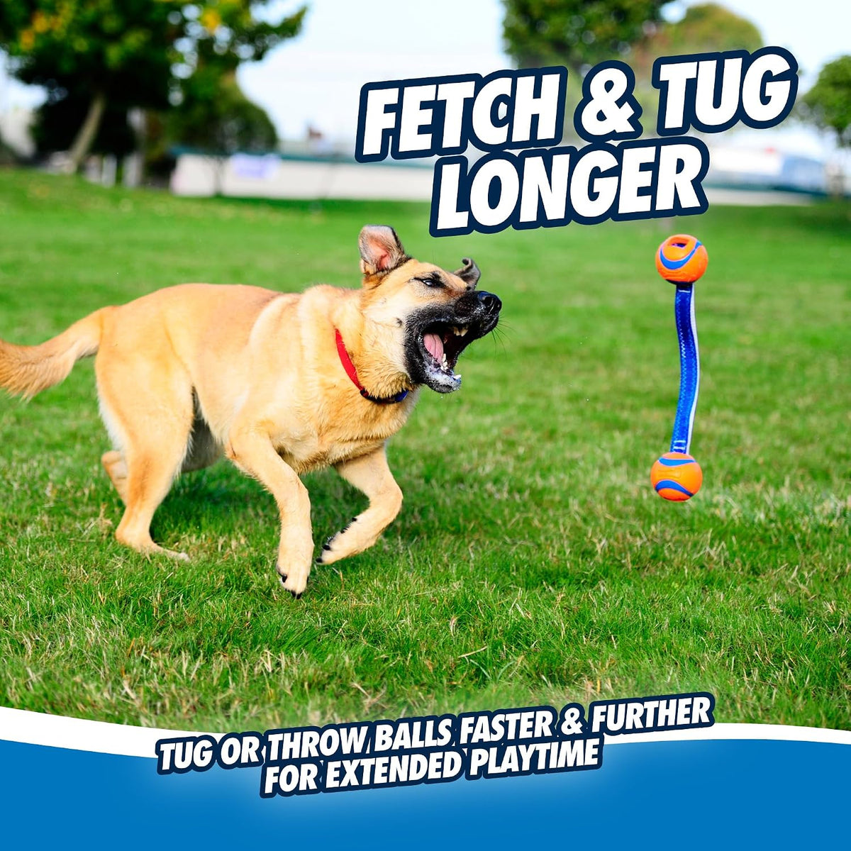 Chuckit! Ultra Duo Tug Dog Toy, Medium 2.5in, Orange and Blue, 20-60lbs | Two Ultra Balls on a Durable Nylon Cord Handle for Fetch and Tug-of-War Play; Made for Breeds 20-60 lbs, in Orange and Blue