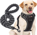 tobeDRI No Pull Dog Harness Adjustable Reflective Oxford Easy Control Medium Large Dog Harness with A Free Heavy Duty 5ft Dog Leash, Blue, L