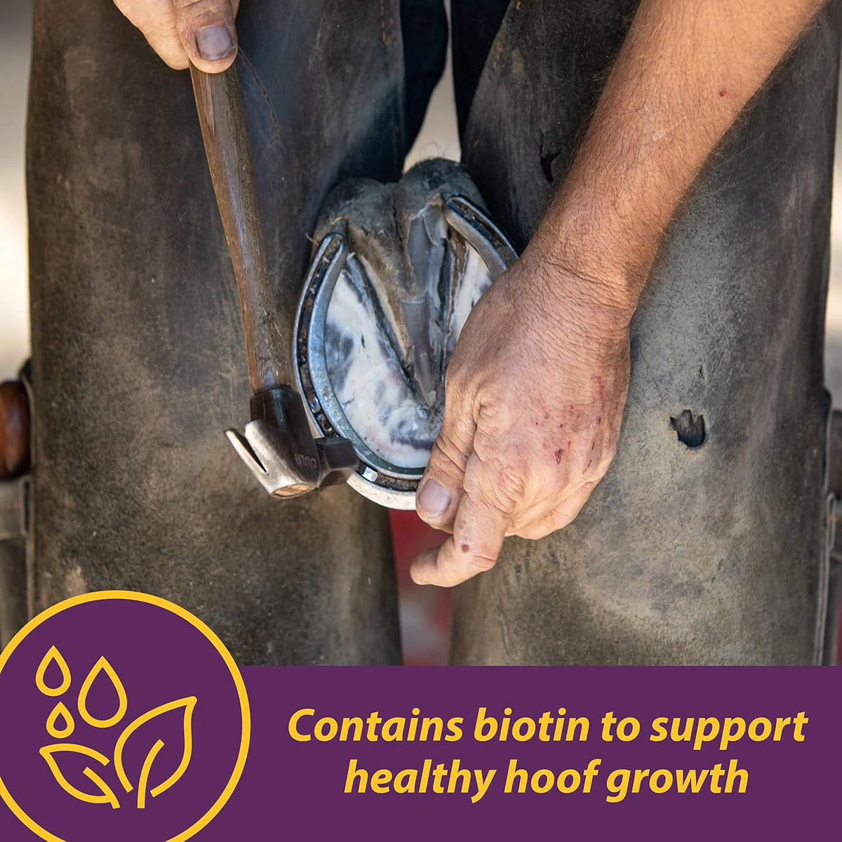 Horse Health Vita Biotin Crumbles Horse Hoof Supplement, 3 lbs