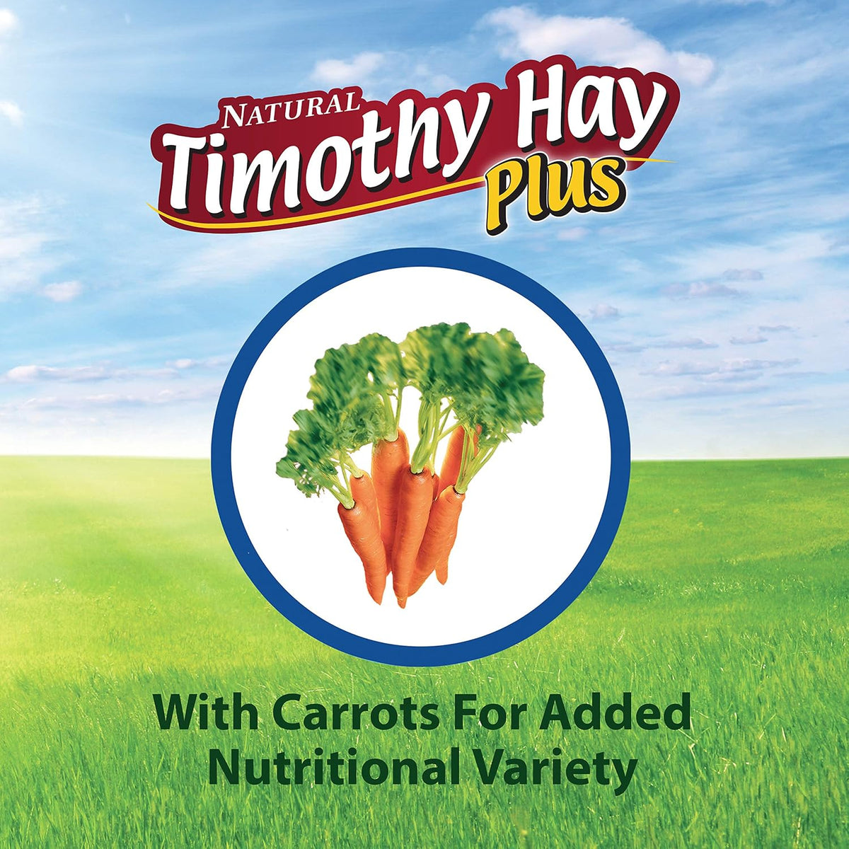 Kaytee All Natural Timothy Hay Plus Carrots for Guinea Pig & Rabbit
