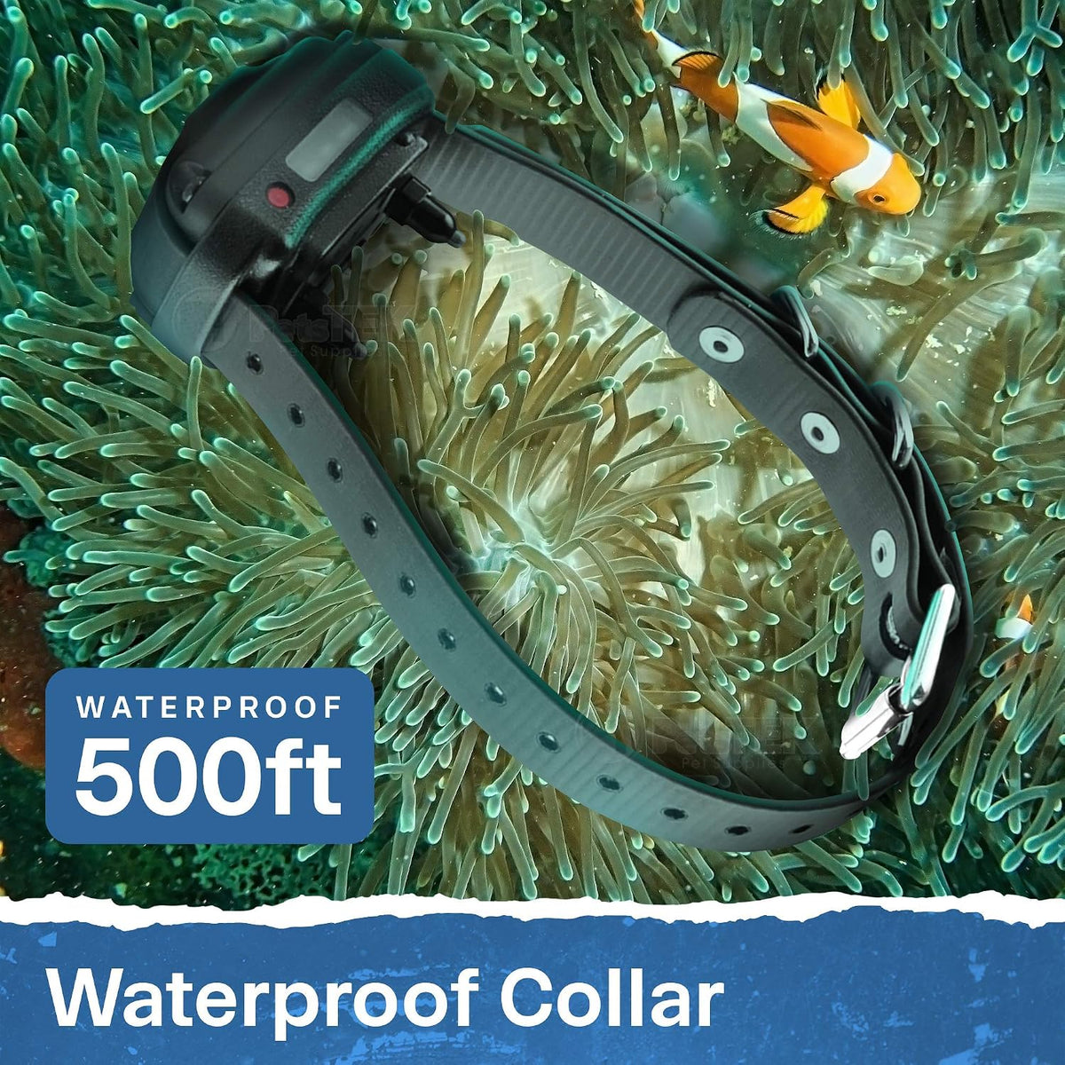 Educator ET-300 Mini E Collar for Dog Training with Remote - 1/2 Mile Range, Waterproof, 100 Blunt Stimulation Levels, Tone or Vibration Mode, Night Light Tracking for Small, Medium & Large Dogs