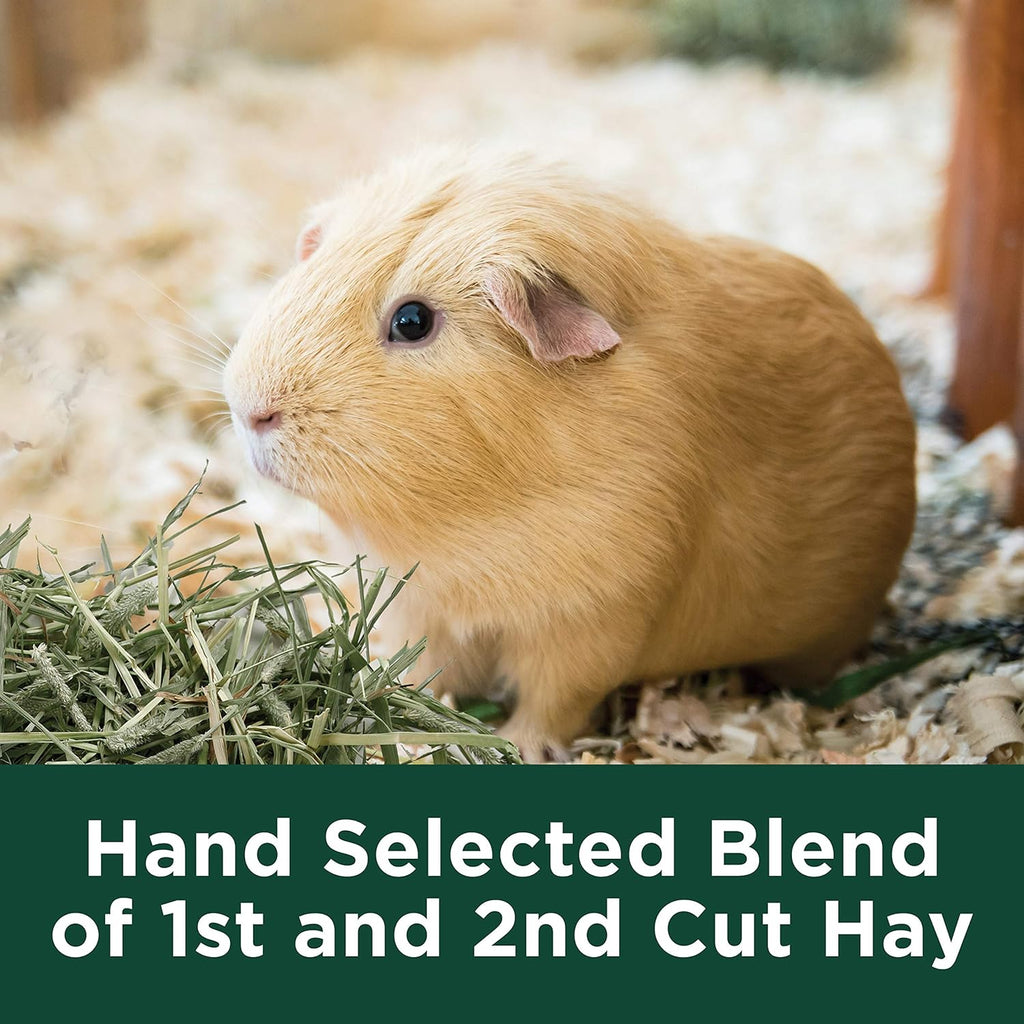 Kaytee Alfalfa Mini Bales, Guinea Pig Hay, 24 Ounces