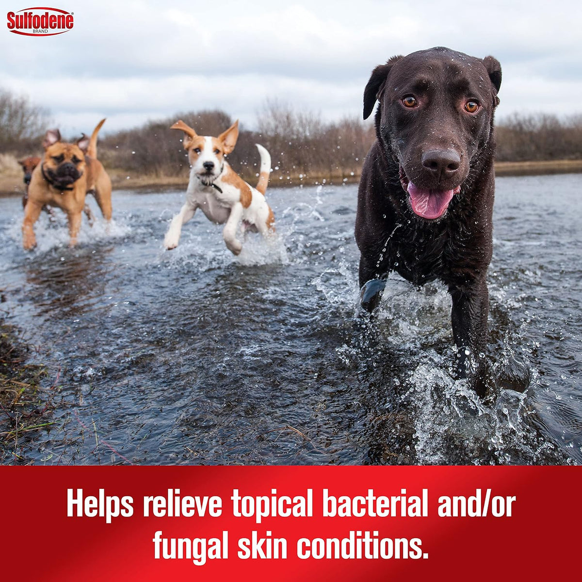 Sulfodene Wound Care 3-Way Ointment for Dogs & Puppies, Soothes Cuts, Scrapes, Skin Irritation, and Redness, First Aid Relief that Supports Skin Healing and Comfort, 2 oz | Vet Recommended dog first aid for cuts, scrapes, bites; helps skin heal