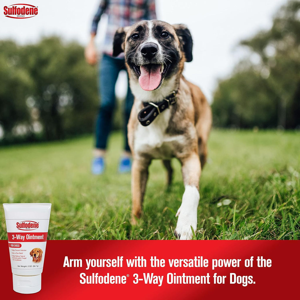 Sulfodene Wound Care 3-Way Ointment for Dogs & Puppies, Soothes Cuts, Scrapes, Skin Irritation, and Redness, First Aid Relief that Supports Skin Healing and Comfort, 2 oz | Vet Recommended dog first aid for cuts, scrapes, bites; helps skin heal
