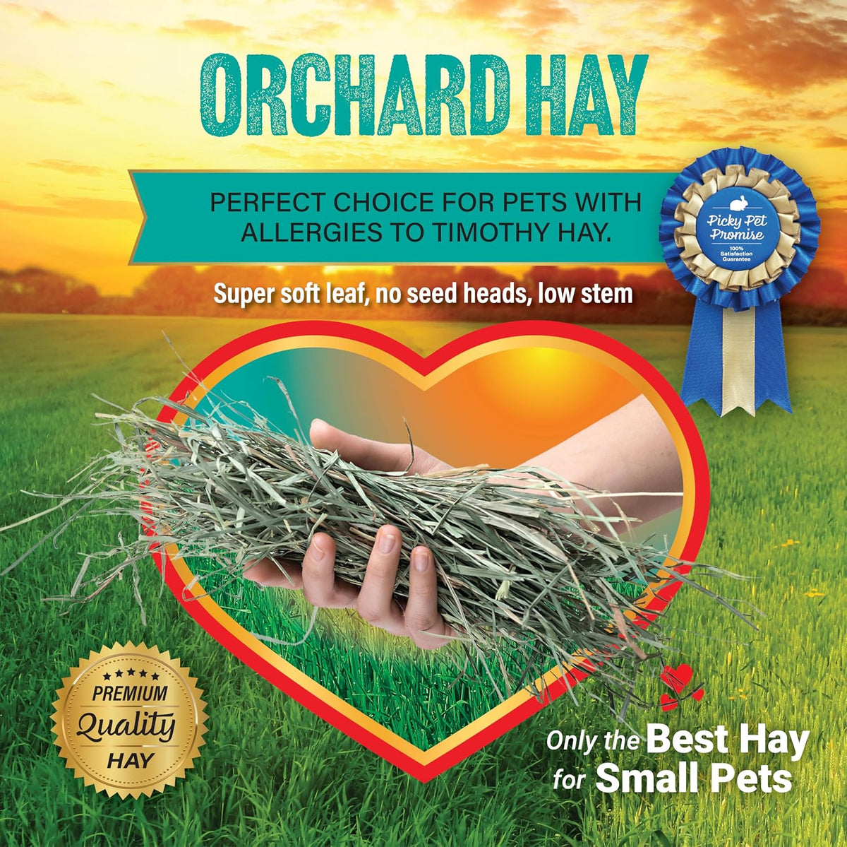 Small Pet Select Orchard Grass Hay Pet Food for Rabbits, Guinea Pigs, Chinchillas and Other Small Animals, Premium Natural Hay Grown in the US, 10 LB