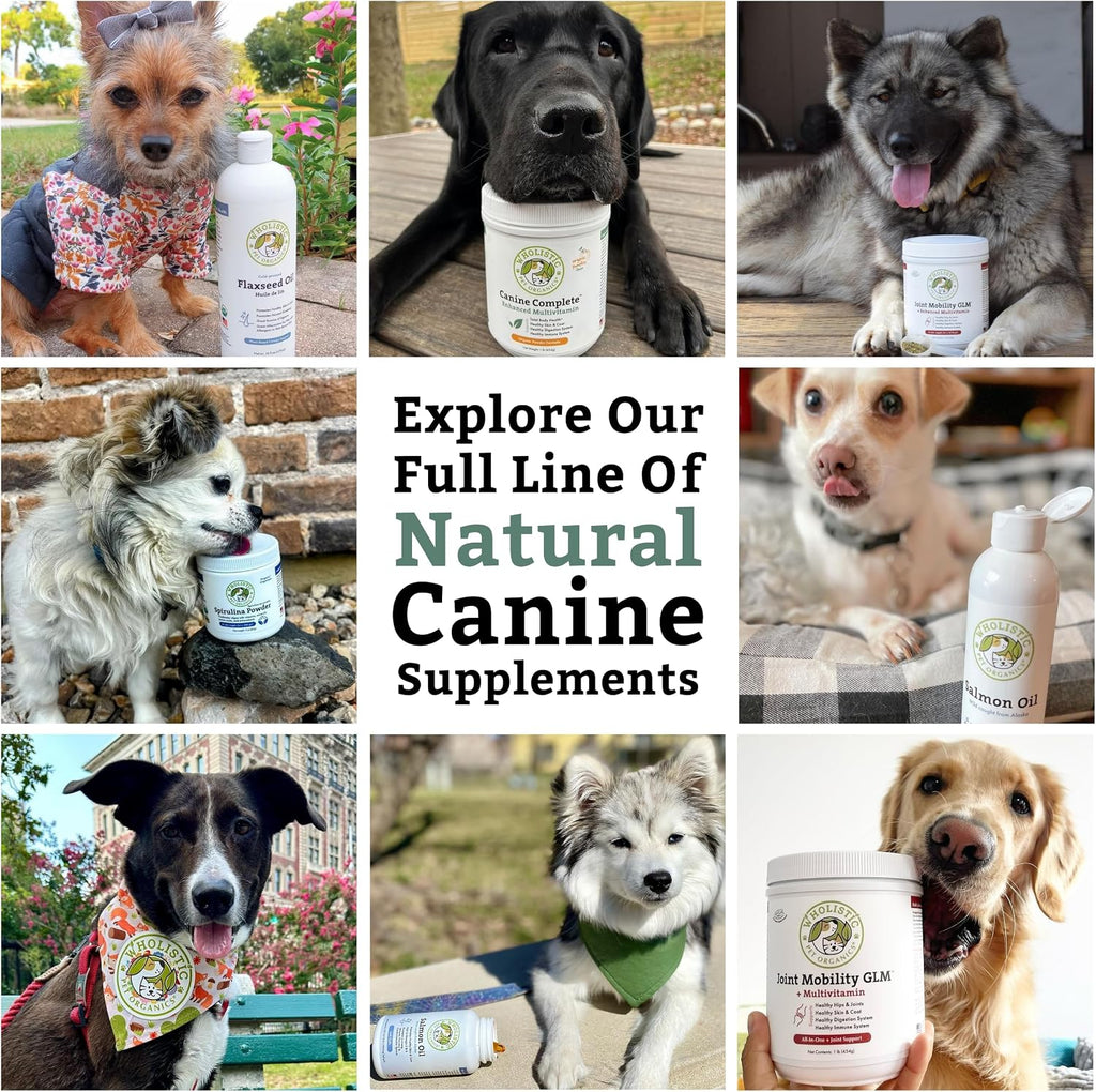 Organic Dog Vitamins, 1 Lb, 45 Scoops | Daily Dog Multivitamin with Prebiotics, Probiotics for Immune Support, Skin Coat, Digestion, & Joint Health - Canine Complete