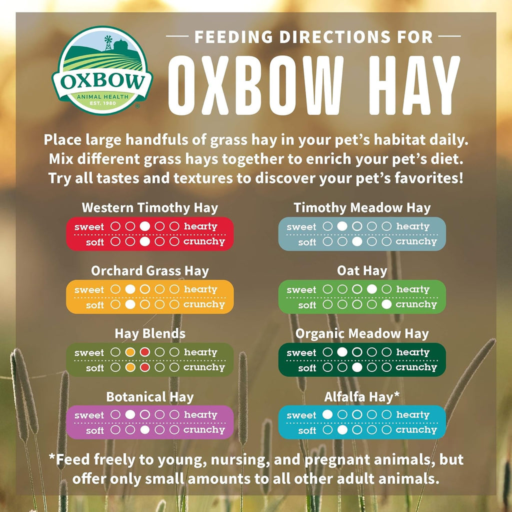 Oxbow Organic Meadow Hay, Rabbit & Guinea Pig Hay, High Fiber, 40 oz
