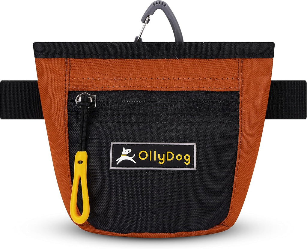 OllyDog, Goodie Treat Bag, Dog Treat Training Pouch | Magnetic Closure | 3 Ways to Wear | Hands-Free Waist Belt | Water-Resistant Recycled Vegan Fabric (Raven S'25)