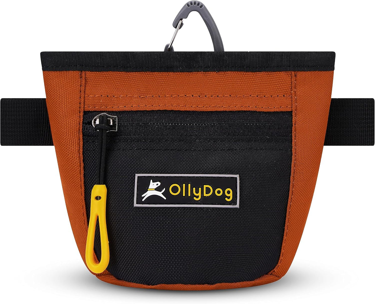 OllyDog, Goodie Treat Bag, Dog Treat Training Pouch | Magnetic Closure | 3 Ways to Wear | Hands-Free Waist Belt | Water-Resistant Recycled Vegan Fabric (Raven S'25)