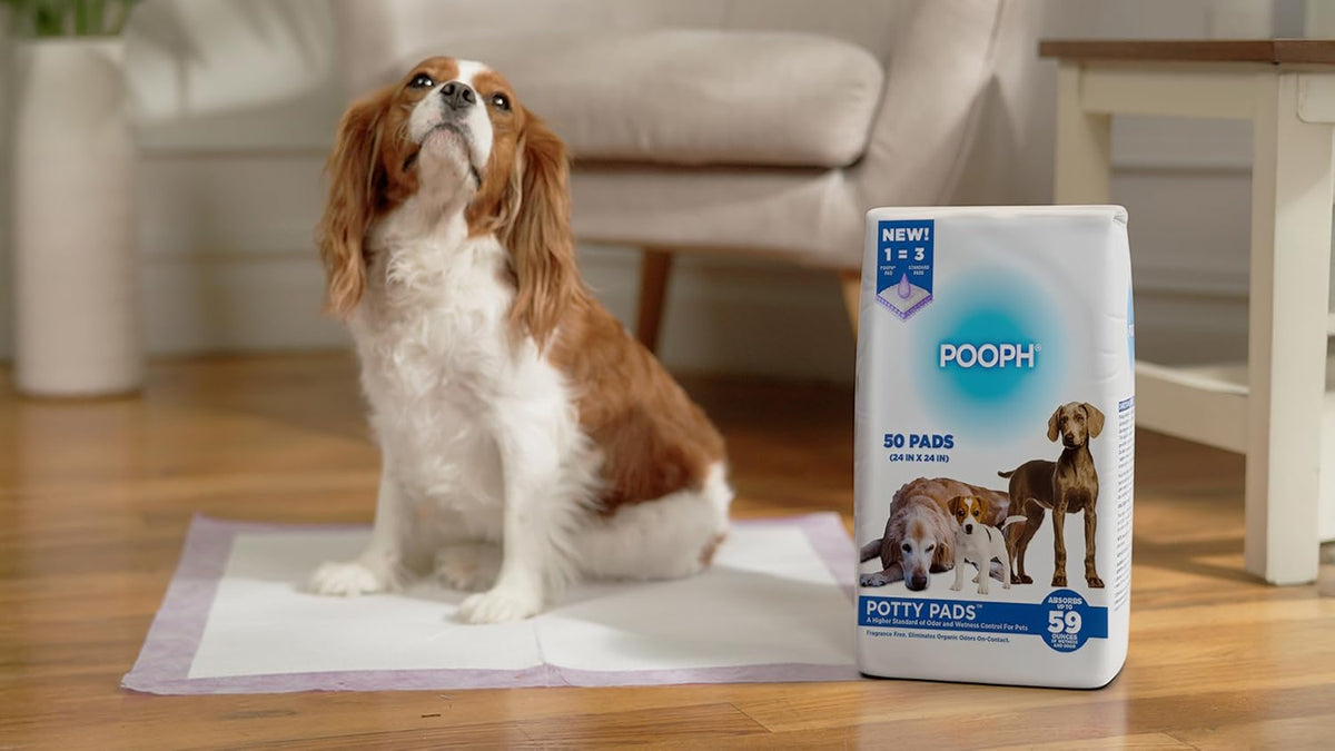 POOPH® Potty Pads™ 24 x 24 in, 50 Count | Disposable 24 x 24 in potty pads with absorbent core and odor control. Includes 50 pads