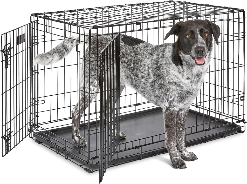 Midwest 42-Inch Single Door iCrate, for Large Breeds, 71-90 lbs