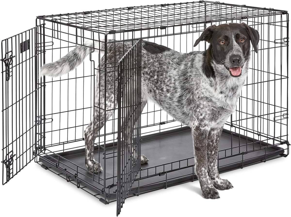 Midwest 42-Inch Single Door iCrate, for Large Breeds, 71-90 lbs