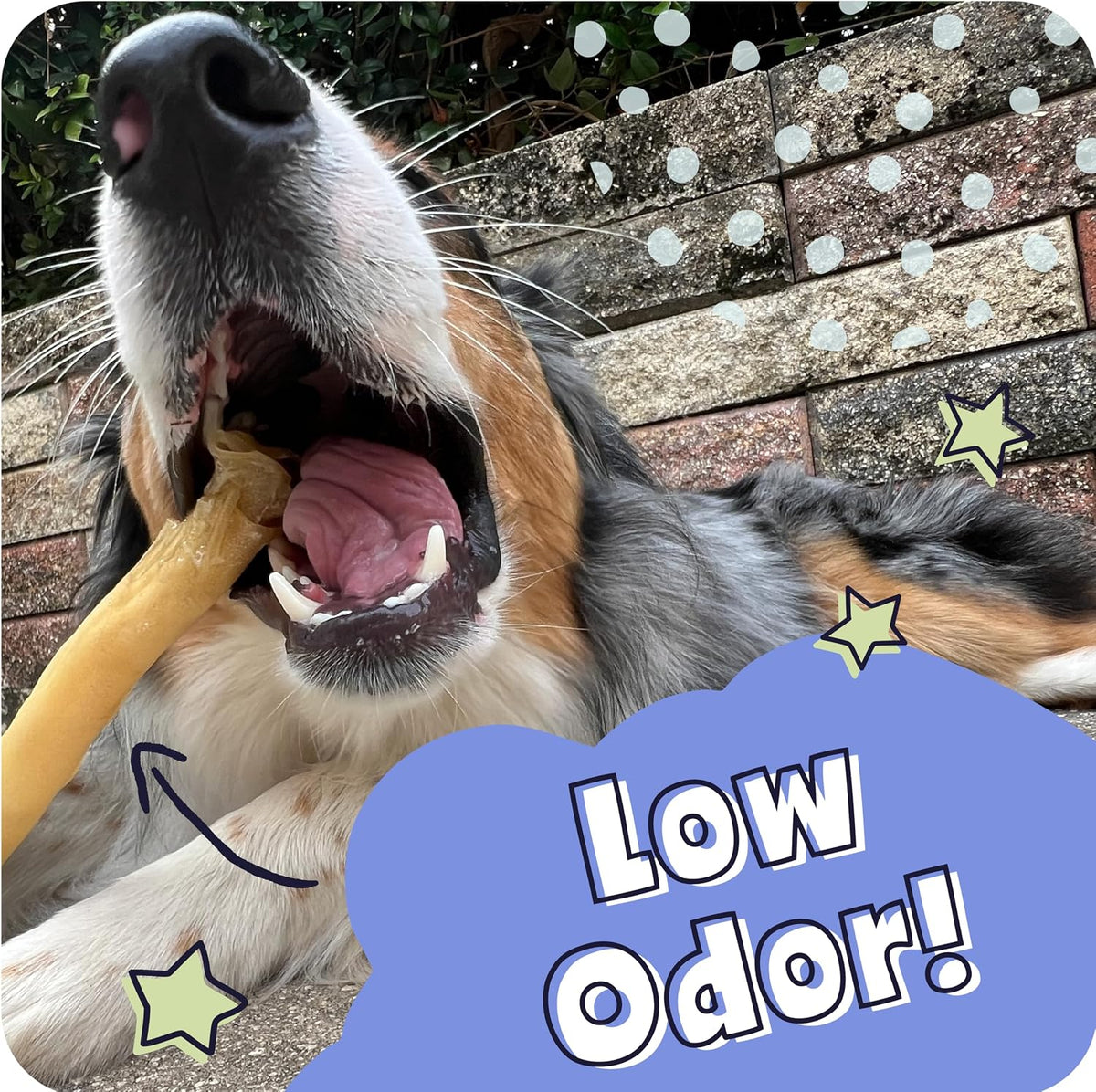 Pawstruck Natural 5-7” Beef Collagen Braids for Dogs – Long-Lasting Rawhide & Bully Stick Alternative, with Chondroitin & Glucosamine – 5 Pack | Long-Lasting Chew for Small Dogs and Power Chewers, Supports Dental Health & Joint Health, Alternative to Trad