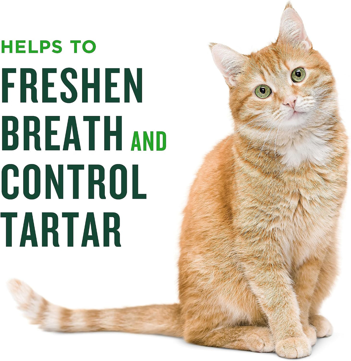 Minties Dental Treats for Cats, (Chicken/Salmon) Flavored Treats for Cats, Freshens Breath and Controls Tartar, 2.5oz