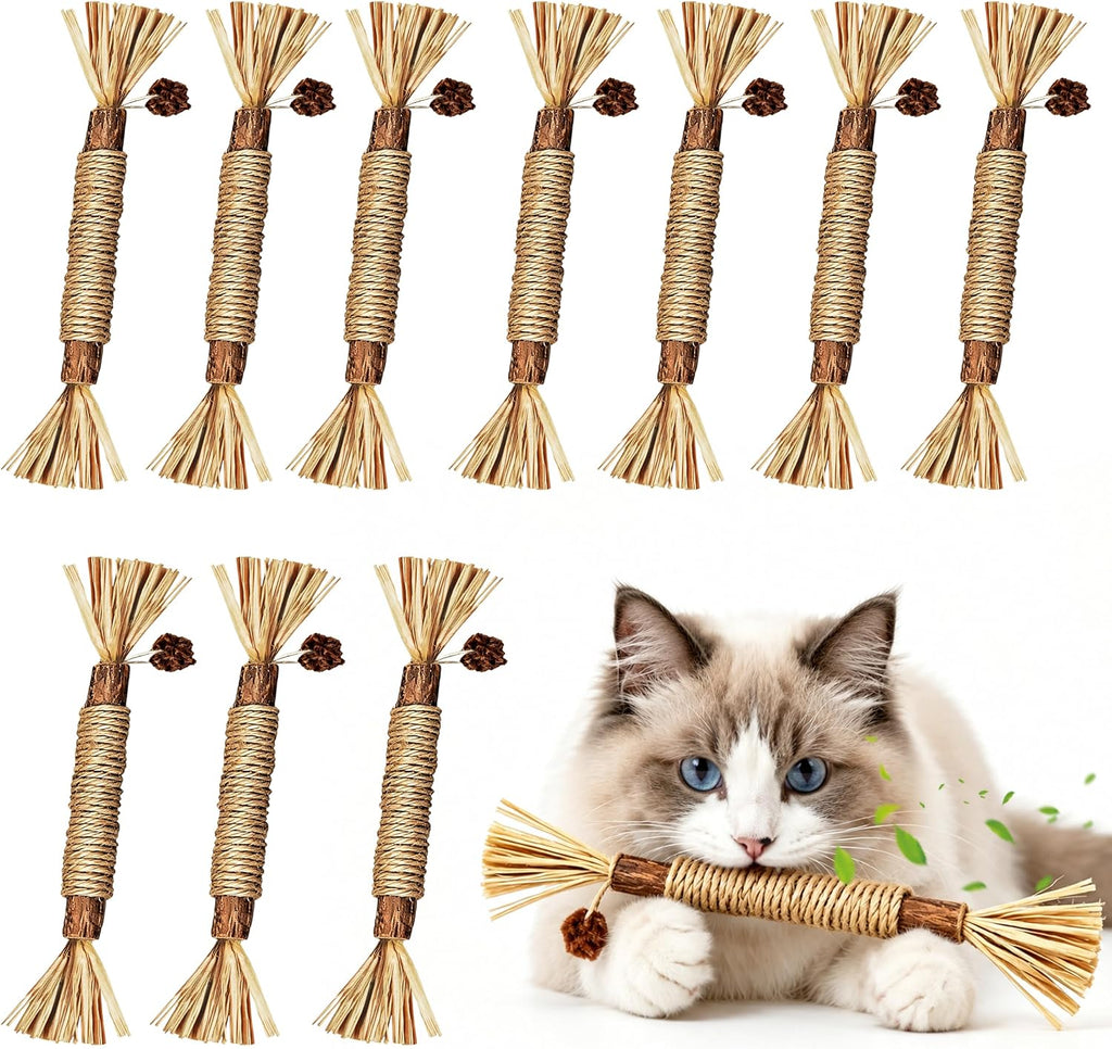 BAWAN Silvervine Sticks Cat Chew Toys for Indoor Cats Dental Care Teeth Cleaning, Natural Kitten & Cat Teething Toys for Health, Cat Chew Stick Suitable for All Breeds of Aggressive Chewers Cat