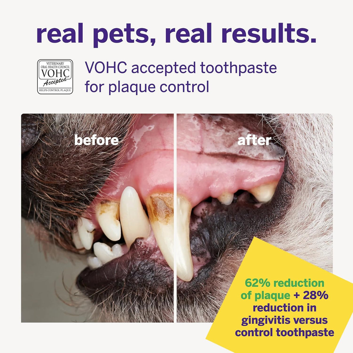 Petsmile VOHC Accepted Pet Toothpaste, London Broil 2.5 Oz, Cats + Dogs | VOHC Accepted, Calprox® Powered, Fights Plaque + Tartar, No-Brush Required, Human-Grade, 4-Month Supply, Clinically Proven