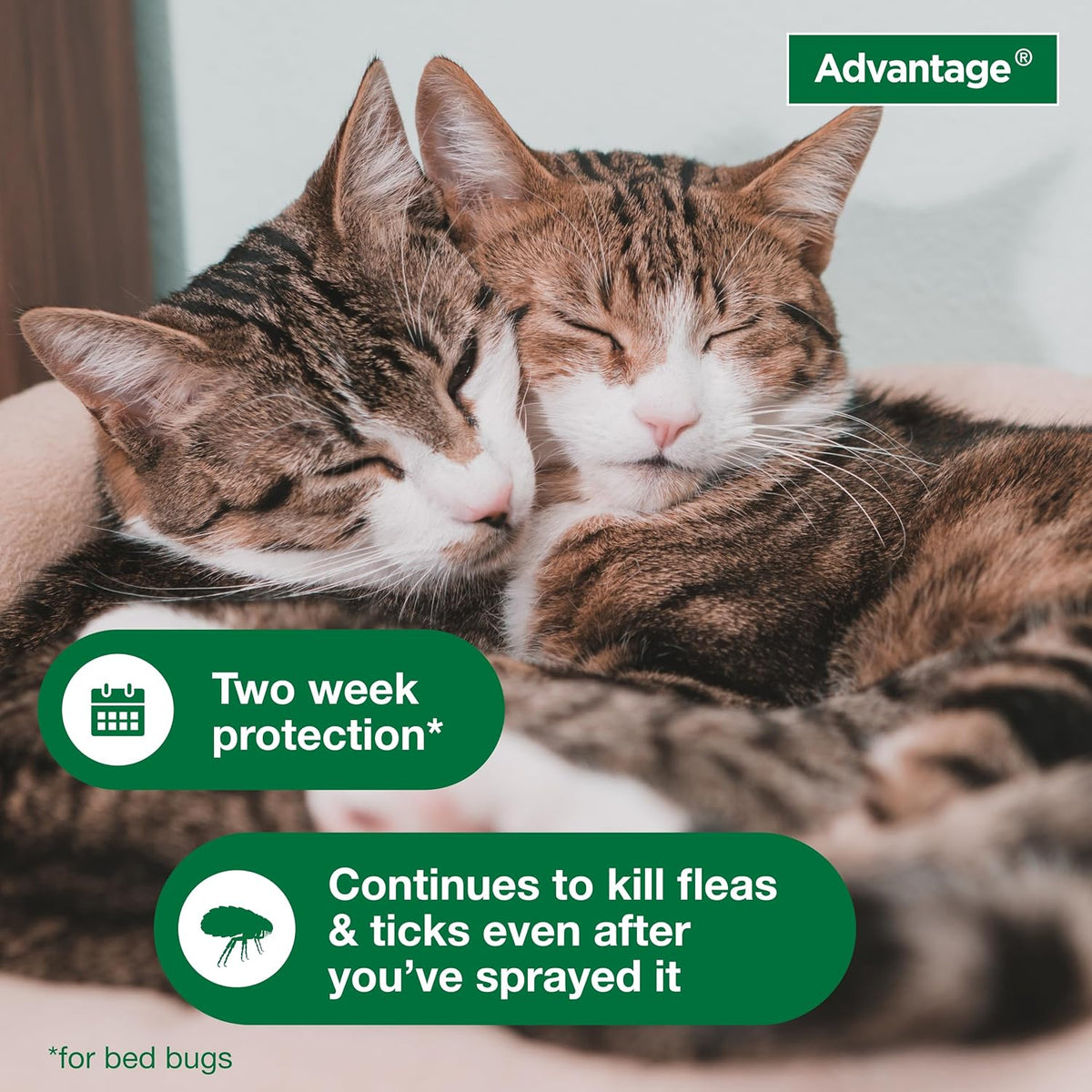 Advantage Household Spot & Crevice Spray | Kills Fleas & Ticks & Bedbugs | 24 oz.