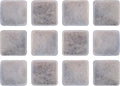 PET Standard Charcoal Filters for Petmate Replendish & Mason, 12-Pack