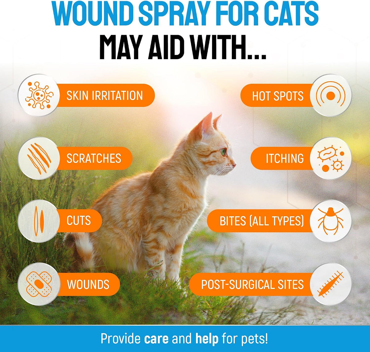 SILVER GRADE Cat Wound Care Spray with Silver – Wounds, Rashes, Hot Spots, Itch, Scratching, Irritation, Bites & Burns – Use a Cat Cone to Prevent Licking – Safe Formula – 4 Oz