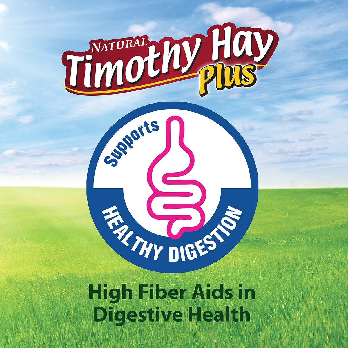 Kaytee All Natural Timothy Hay Plus Carrots for Guinea Pig & Rabbit