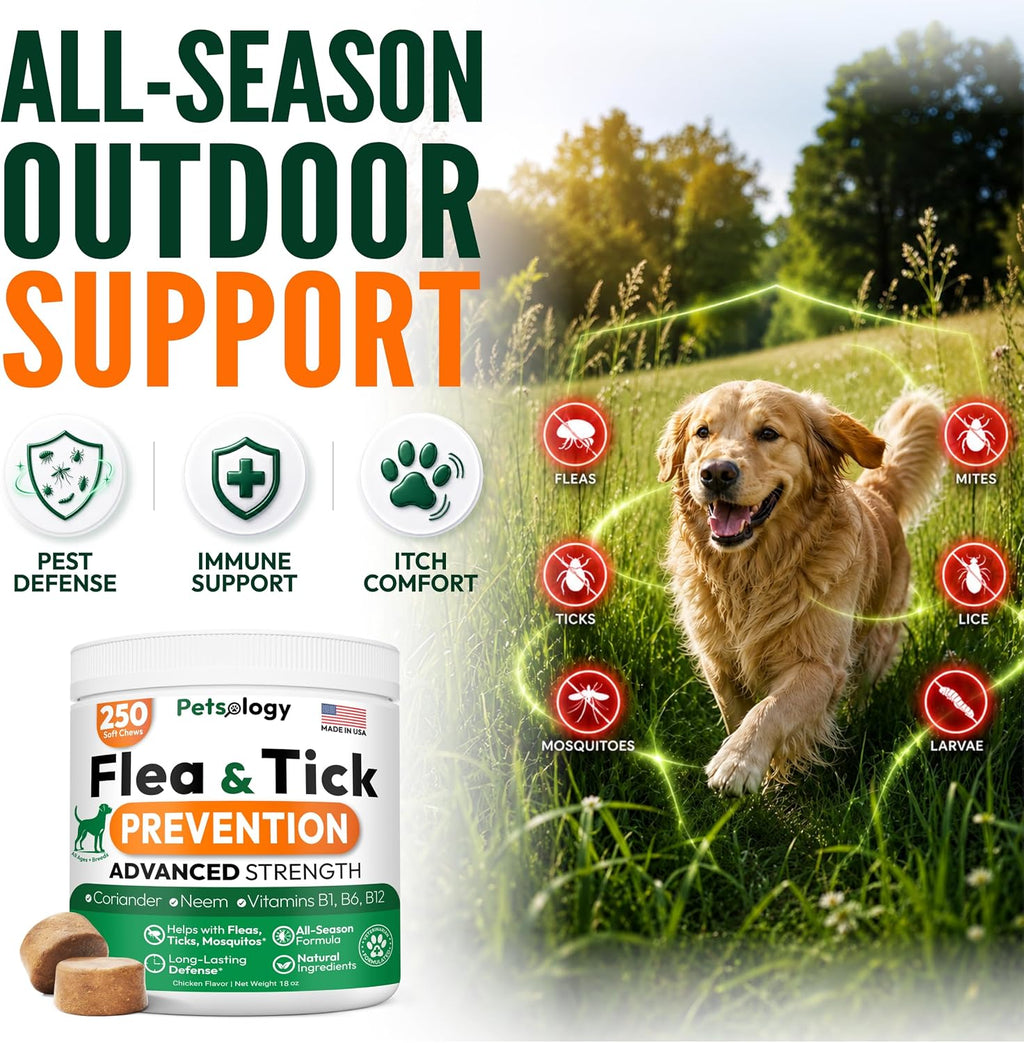 Flea and Tick Prevention for Dogs Pills - 250 Chews - Flea & Tick Control | Natural Dog Oral Defense Treatment Supplement - Vet Formulated Chews - All Breeds & Ages - Immune Support - Made in USA
