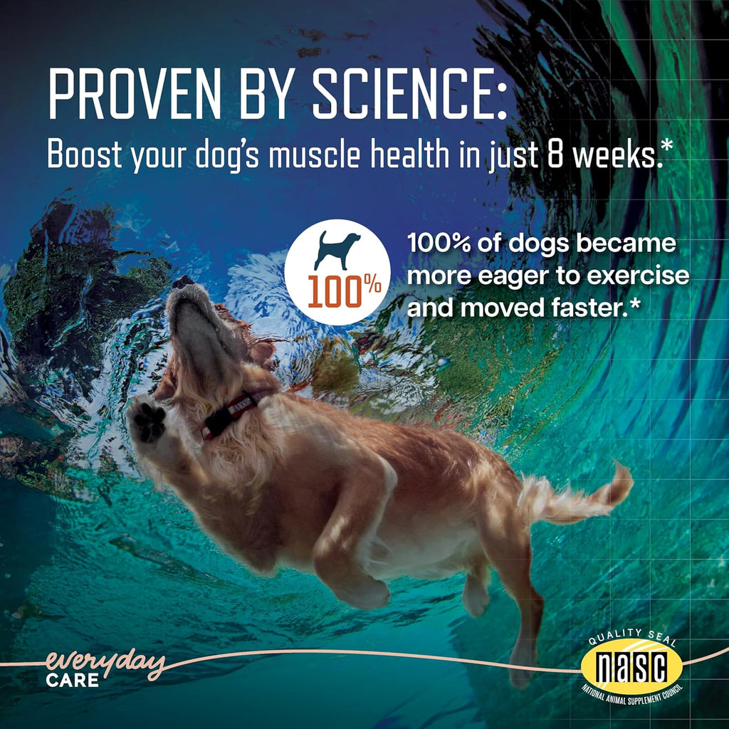URSOLYX Soft Chews for Dogs, Large Breed, Muscle Support, 60 Count | Ursolic acid supplement to rebuild muscle strength & mobility in senior, active or recovering dogs, 2 Month Supply