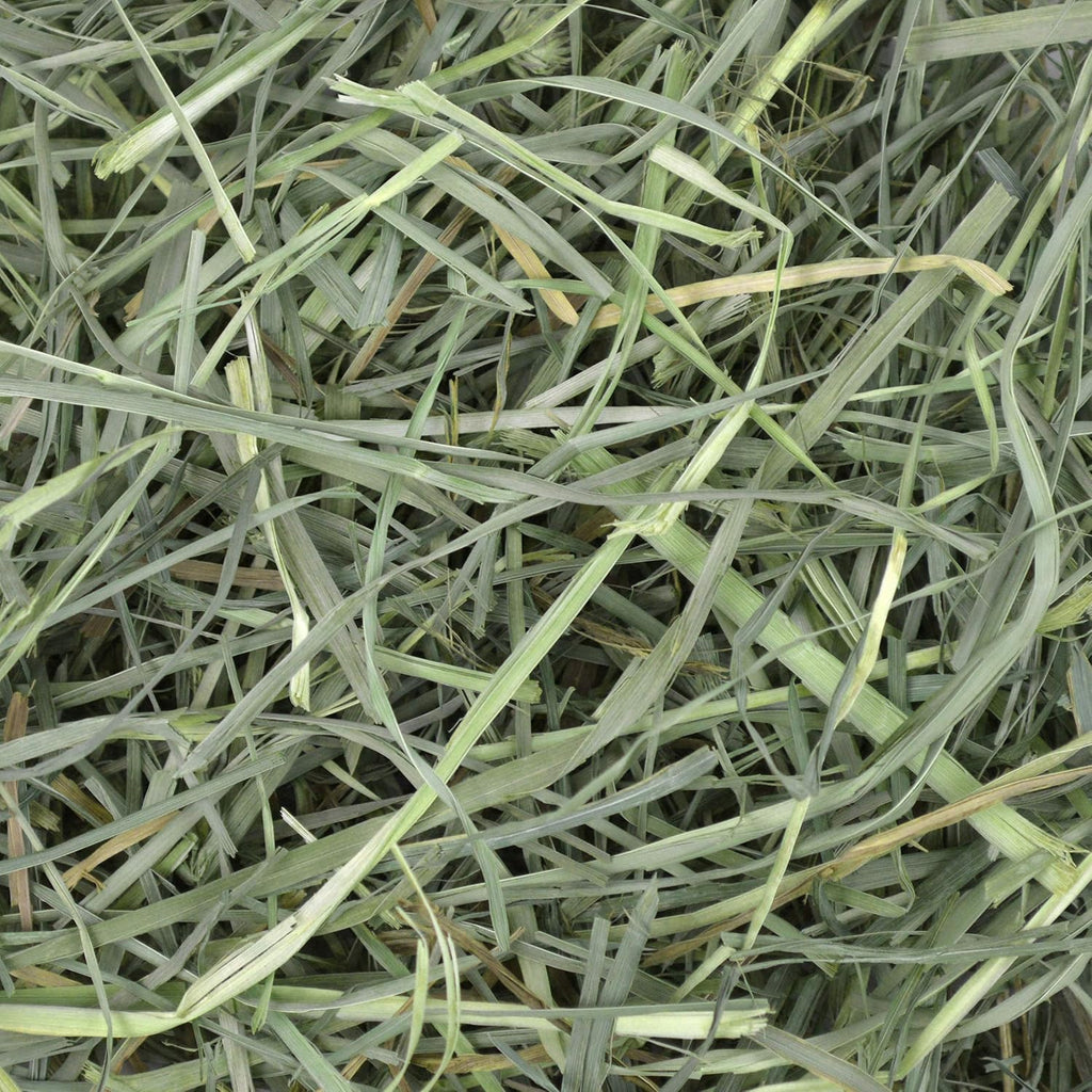 Oxbow Orchard Hay, Rabbit & Guinea Pig Hay, Hand-Sorted, De-Dusted, 40 oz