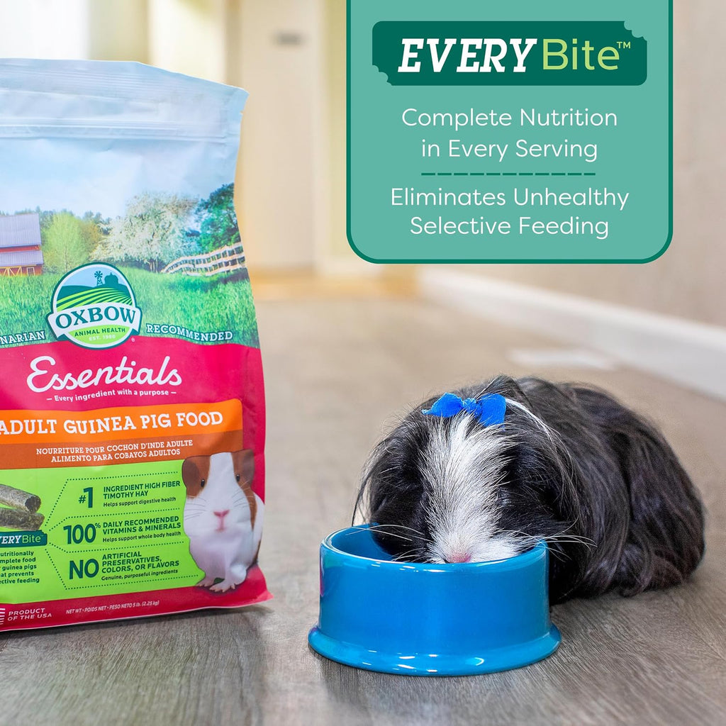 Oxbow Essentials Adult Guinea Pig Food, Timothy Hay Pellets, USA, 5 lb