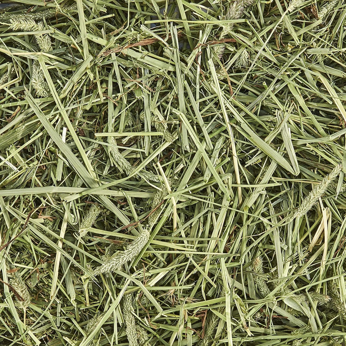 Kaytee Timothy Hay, High Fiber for Rabbits, Guinea Pigs, 48 Ounces