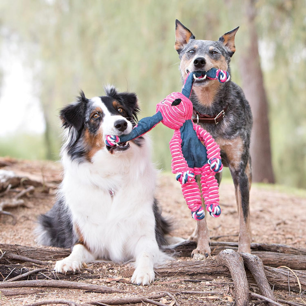 KONG Floppy Knots Rope and Plush Dog Toy, Fox, Medium/Large | Knotted Rope & Plush Toy with Minimal Stuffing & a Squeaker, Great for Teething, Tugging & Lively Play