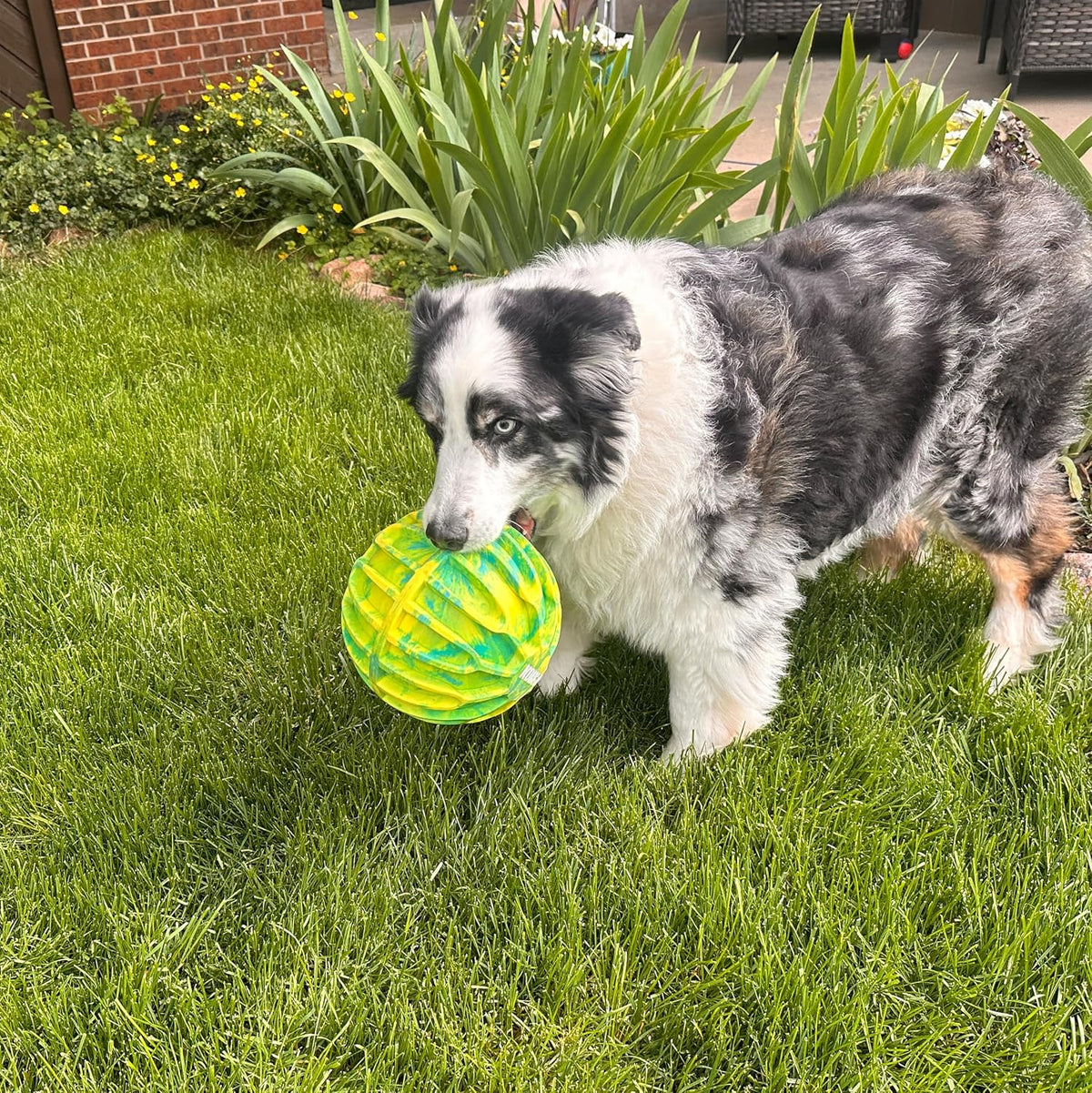 KONG FlexBall Interactive Fetch Toy, Floats in Water, for X-Large Dogs | Durable Interactive Fetch Ball with Easy-Grip Ridges That Floats in Water, Built for Long Outdoor Play