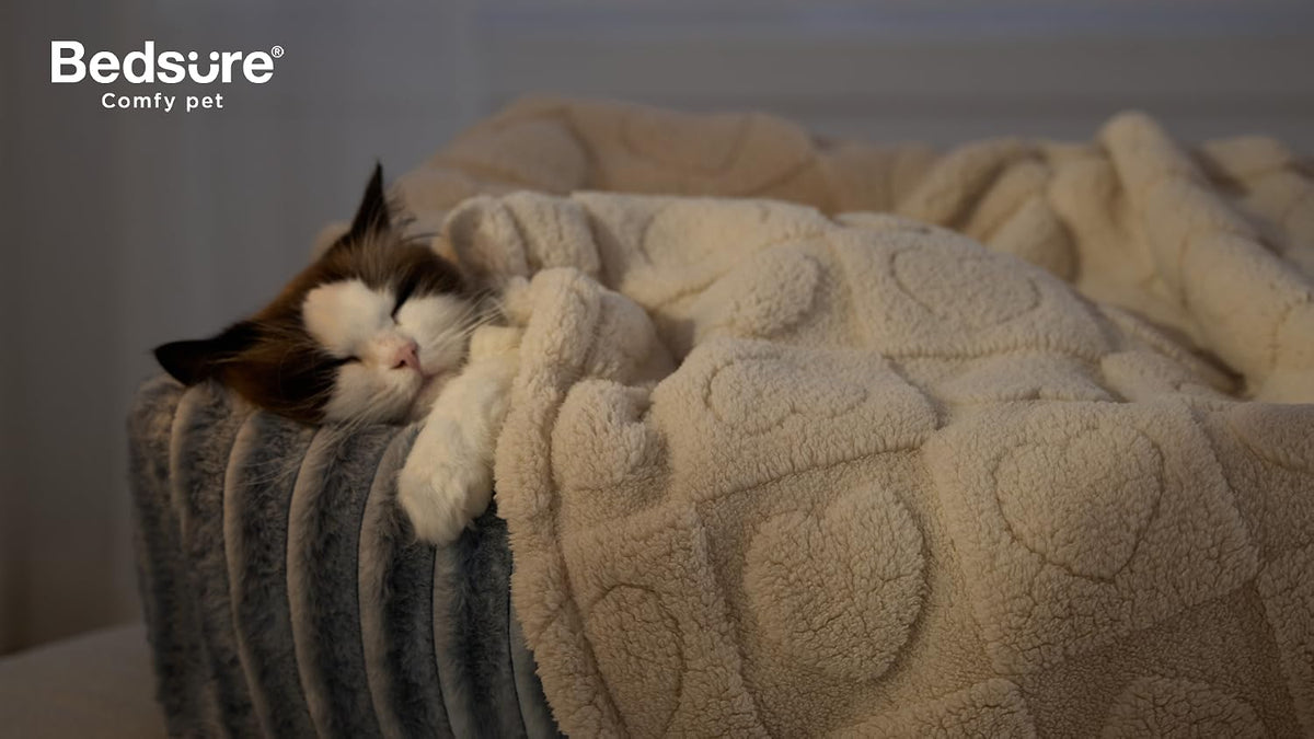 Bedsure Dog Blanket for Small Dogs Puppy and Cats, Soft Fleece, 25x35 inch